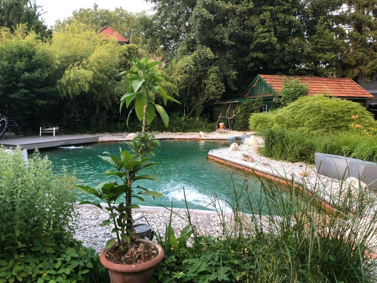 Haus Mit Sauna Und Privatem Badeteich In Anif Bei Salzburg Exterior foto